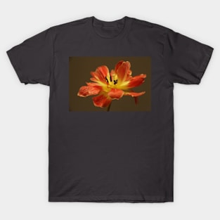 Tulip in Orange T-Shirt